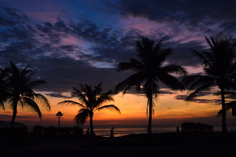 Palm trees silhouetted against a vivid orange and purple sunset sky over Da Nang beach.
